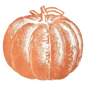 Kalıp Kesim Pumpkin Kağıt Amerikan Servis 12li Paket