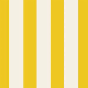 Marigold Classic Stripe Cocktail Napkin Pack Of 20