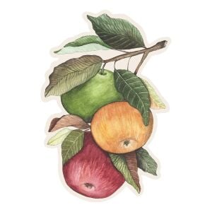 Heirloom Apples Masa Dekoru 12li Paket