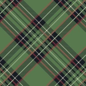 Geen Plaid Cocktail Napkin Pack Of 20