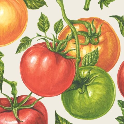 Tomato Cocktail Napkin pack of 20