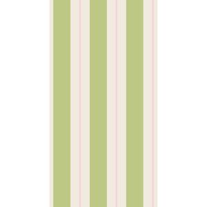 Yeşil ve Pembe Awning Stripe Misafir Peçetesi 16li Paket