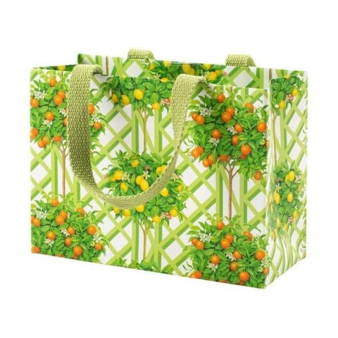 Citrus Topiaries Small Gift Bag in White  1 Each