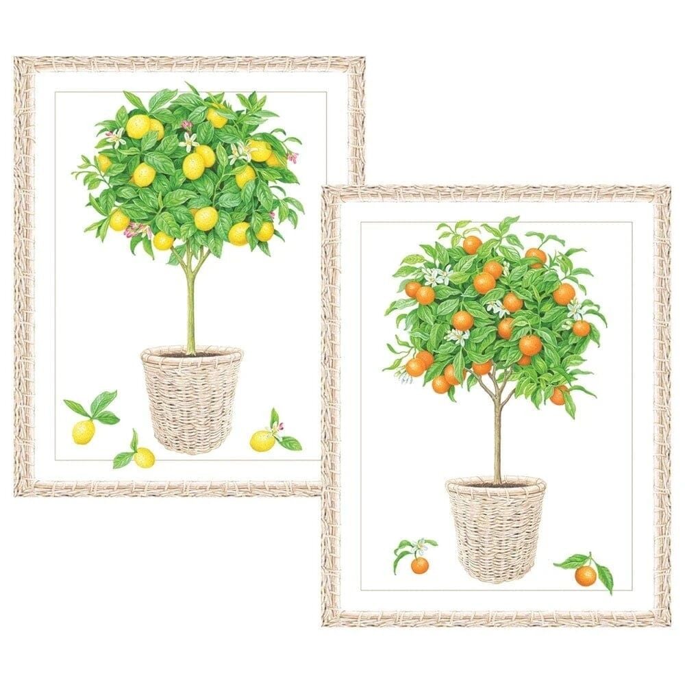 Citrus Topiaries Assorted Embossed Boxed Note Cards 10 Note Cards & 10 Envelopes