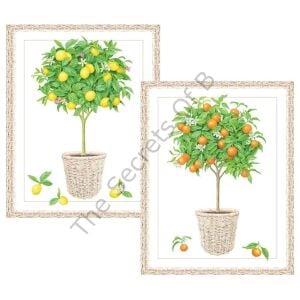 Citrus Topiaries Assorted Embossed Kutulu Not Kartı 10 Not Kartı ve 10 Zarf Seti