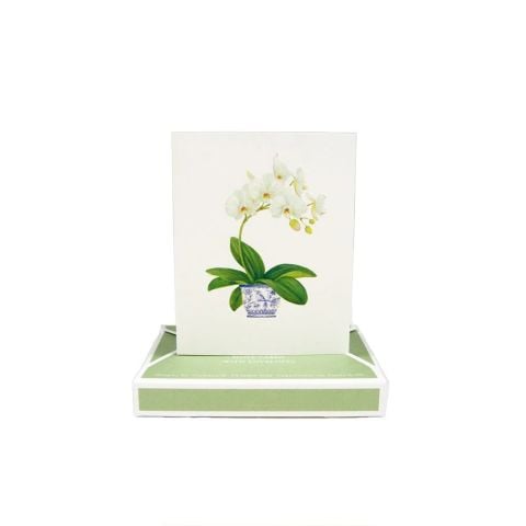 Potted Orchids Boxed Note Cards  10 Cards and 10 Envelopes per Package