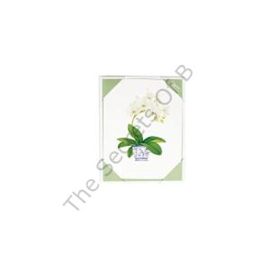 Potted Orchids Kutulu Not Kartı 10 Not Kartı ve 10 Zarf Seti