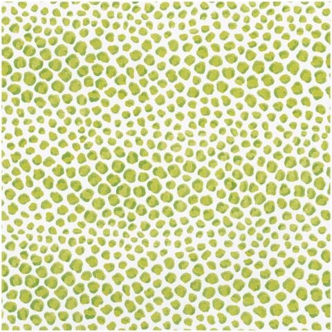 Just Spots Lime Gift Wrap - One 30'' X 8' Roll