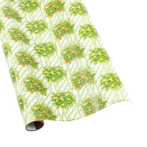 Citrus Topiaries Gift Wrapping Paper in White - 30'' x 8' Roll