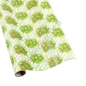 Citrus Topiaries Hediye Paketi Kağıdı Beyaz Rulo