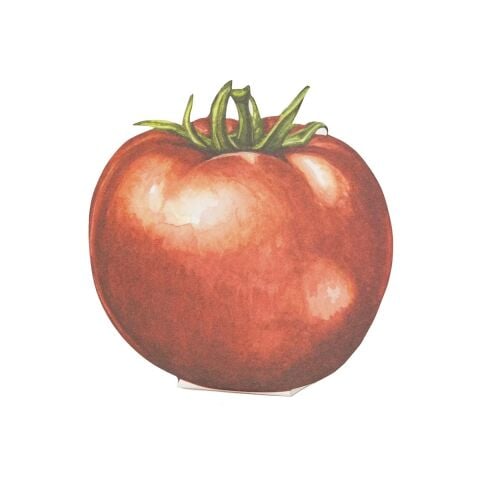Tomato Place Card Pack Of 12