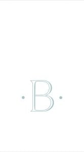 Napkin Airlaid B Robins egg