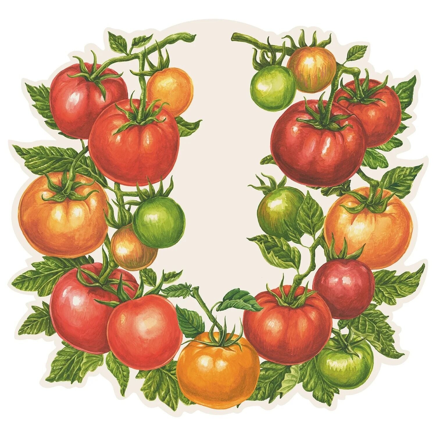 Kalıp Kesim Tomato Kağıt Amerikan Servis 12li Paket